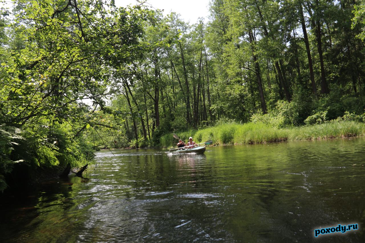 Байдарка на реке Судогда проходит маршрут
