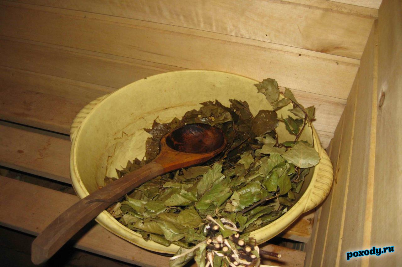 Дубовый веник для бани