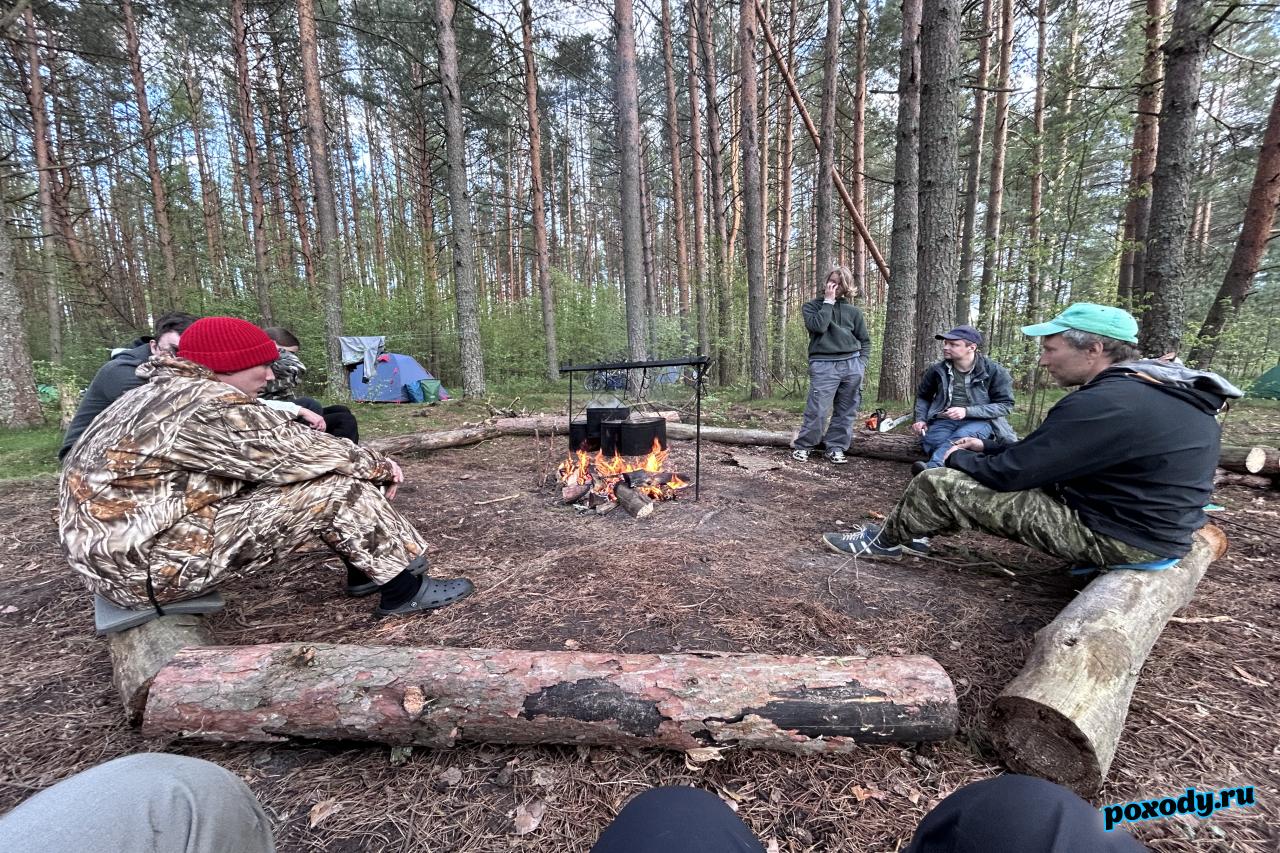 Костер в лесу в палаточном лагере