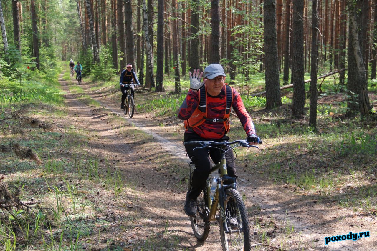 Лесная велодорожка для любителей велосипеда