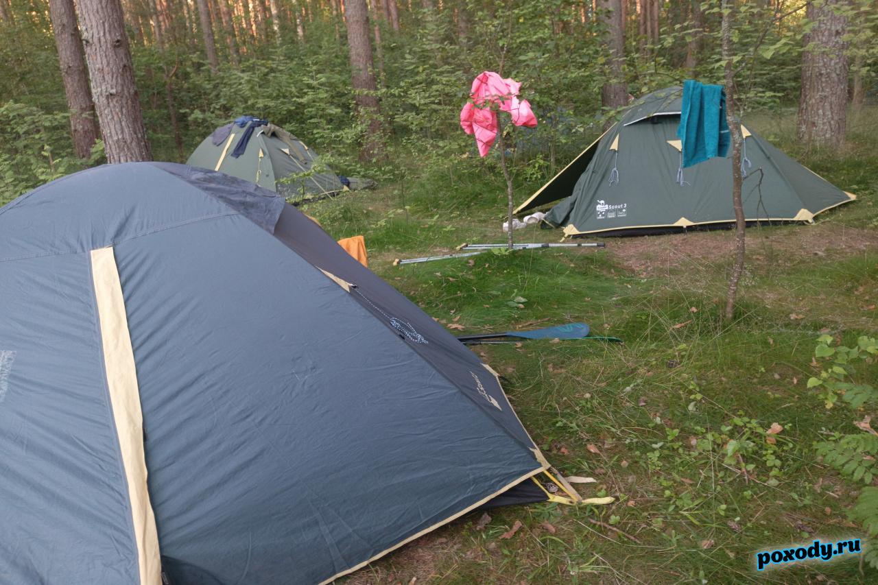 Палатки на туристической стоянке во Владимирской области