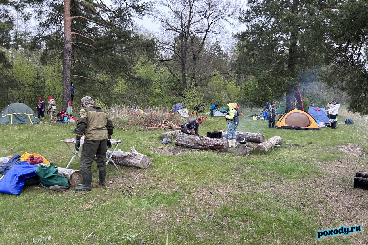 Палаточный лагерь во Владимирской области