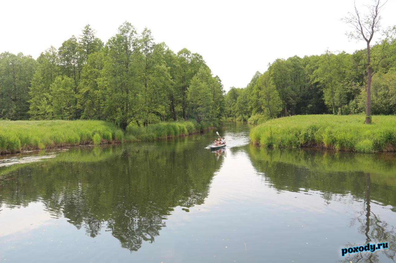 Прозрачная вода реки Судогда