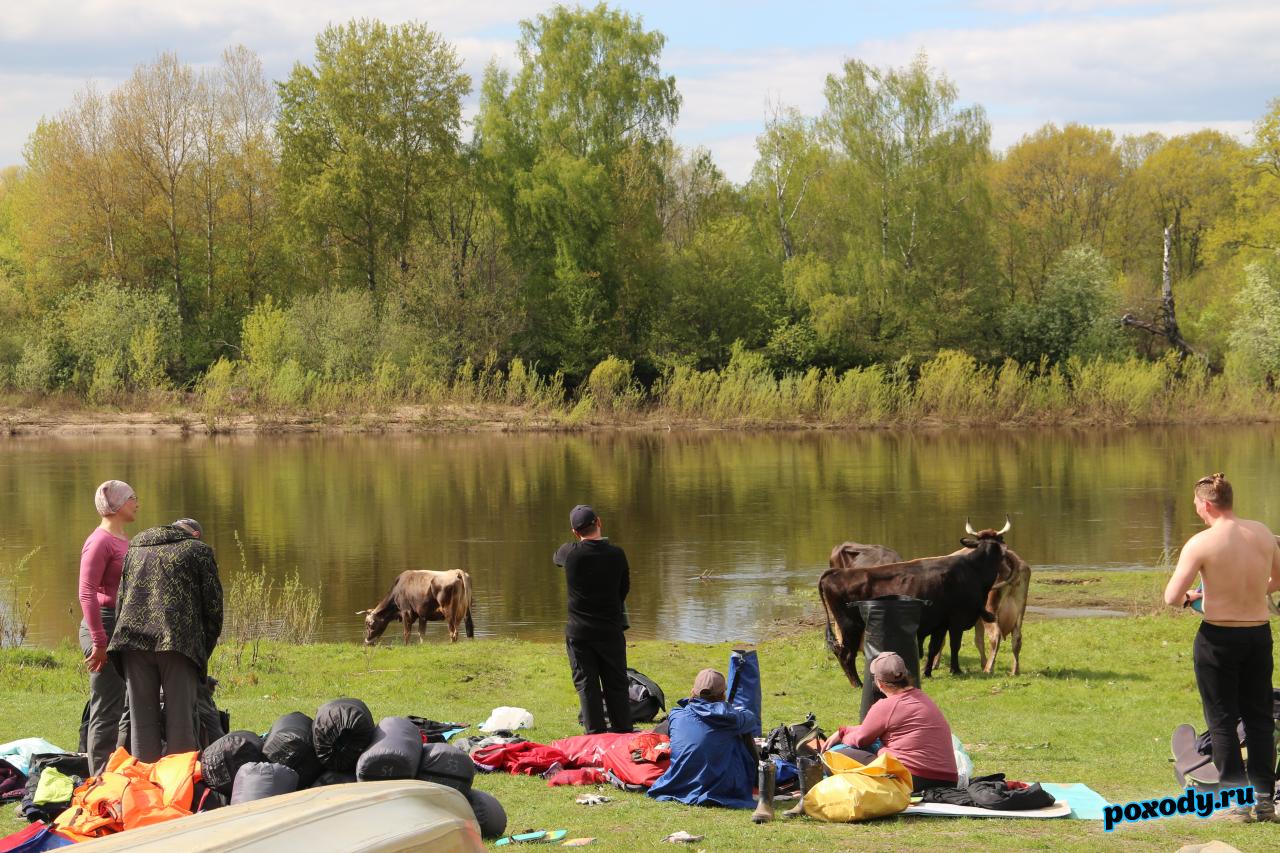 Сплав на байдарках до слияния Судогды и Клязьмы