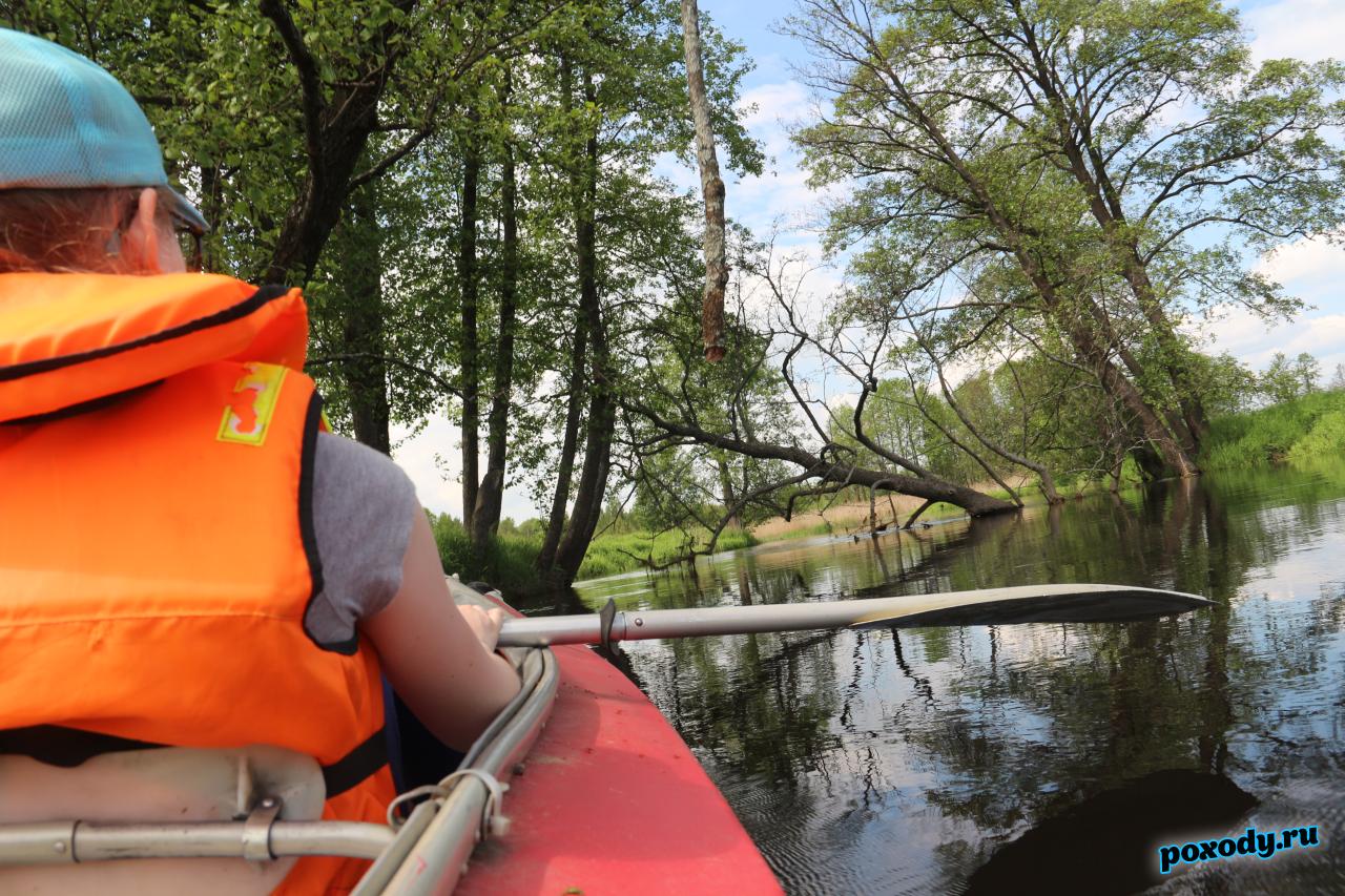 В водном походе могут принимать участие дети