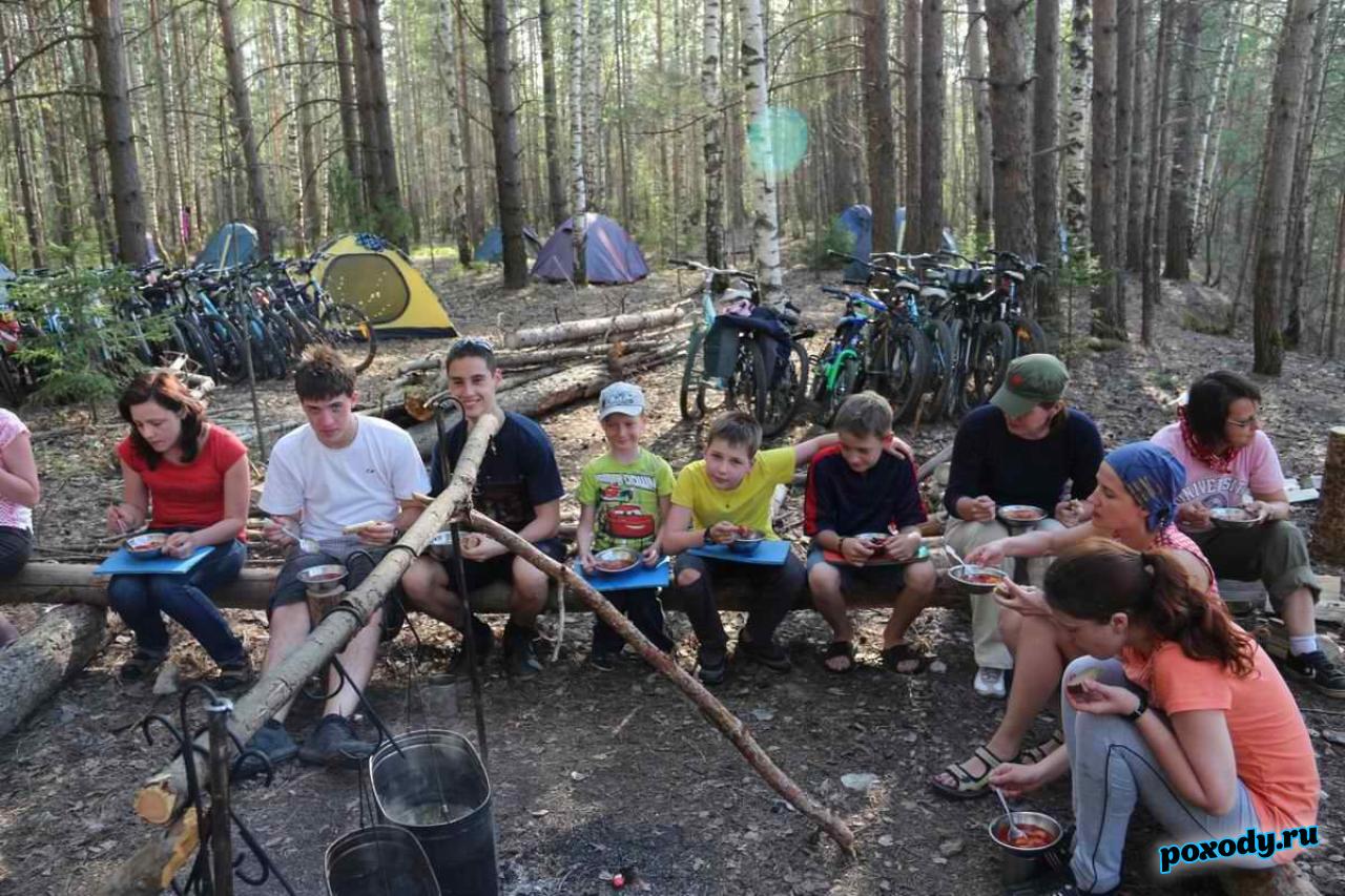 Туристы принимают пищу на лесной поляне