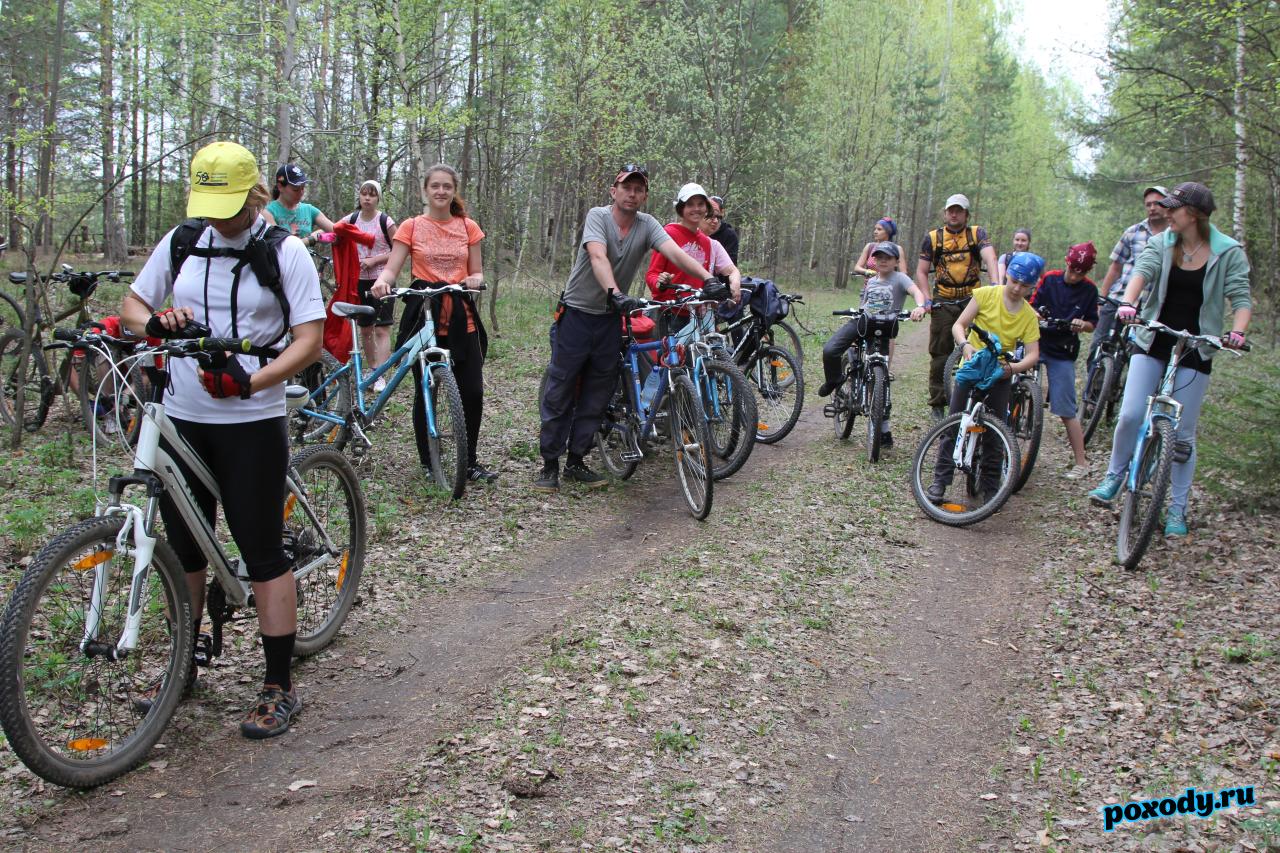 Велогруппа в лесу 33 региона