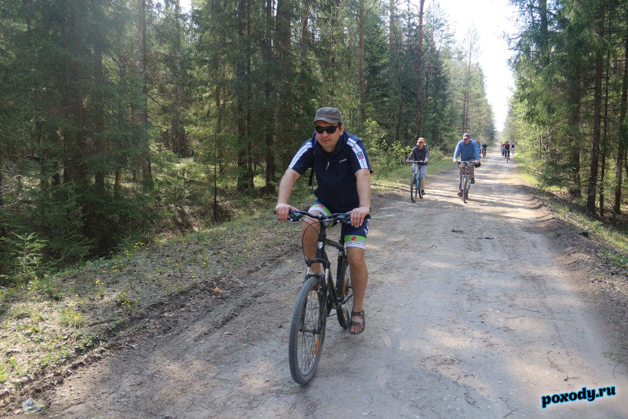 Велопутешествие по дорогам Мещеры