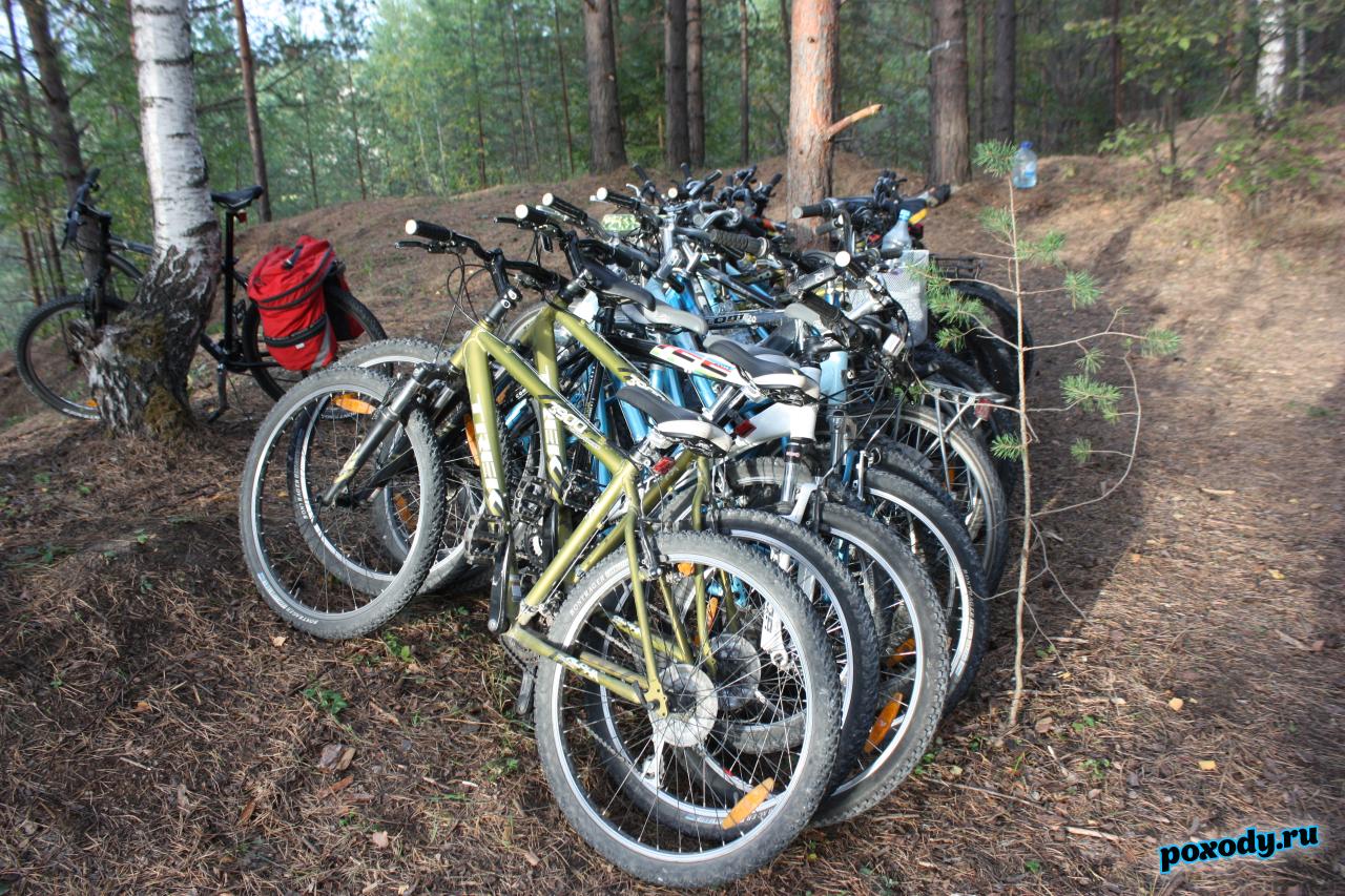 Велосипеды в лесу на стоянке после велосипедного похода