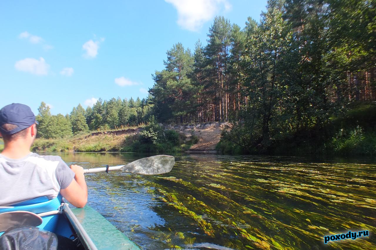 Участники похода выходного дня преодолевают водоросли на реке